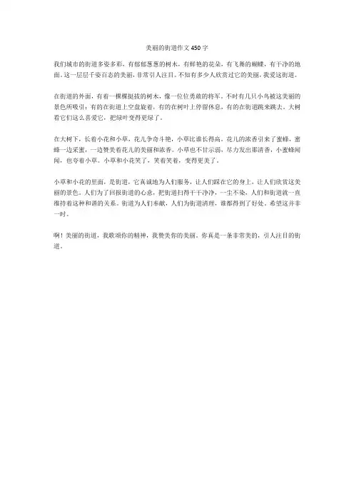美丽的街道作文450字正式版
