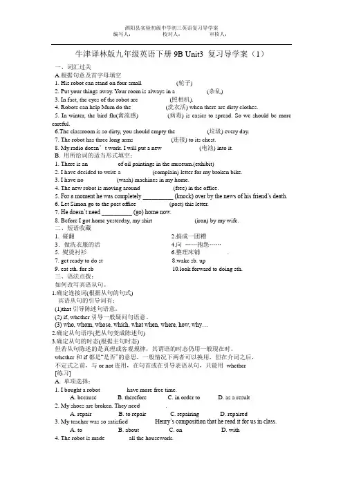 牛津译林版九年级英语下册Unit3复习导学案1(无答案)