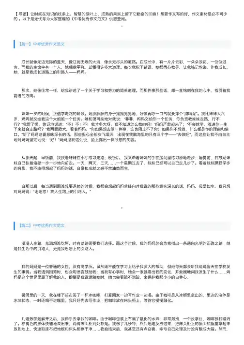 中考优秀作文范文：我的引路人