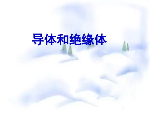 小学五年级上册科学导体和绝缘体