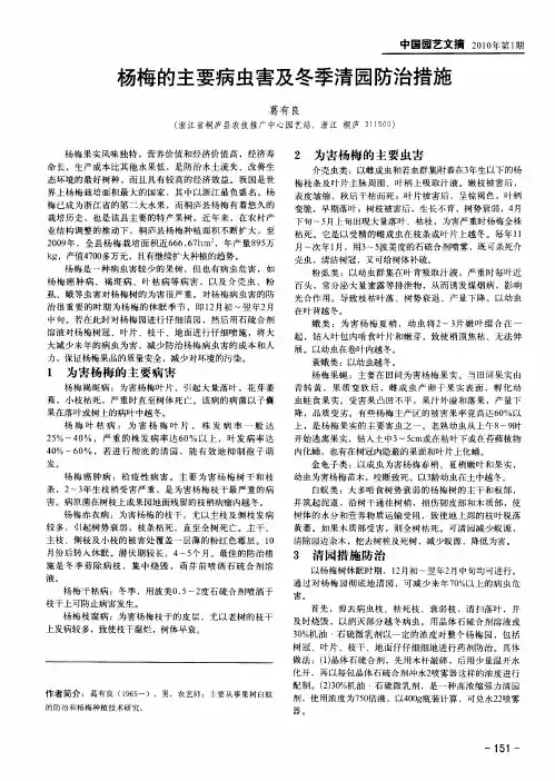杨梅的主要病虫害及冬季清园防治措施
