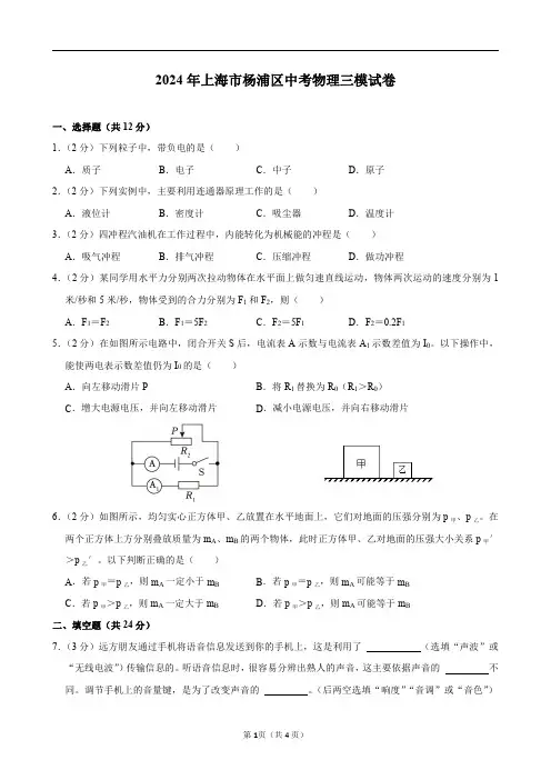 2024年上海市杨浦区中考物理三模试卷及答案解析