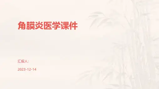 角膜炎医学课件