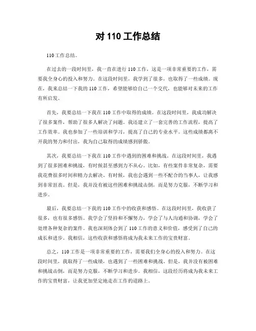 对110工作总结