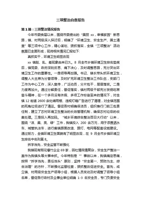 三项整治自查报告