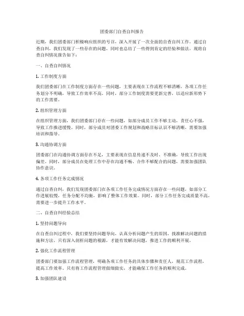 团委部门自查自纠报告