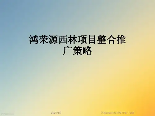 鸿荣源西林项目整合推广策略