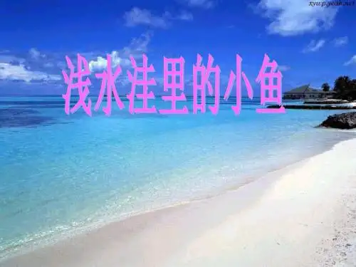 28《浅水洼里的小鱼》PPT课件