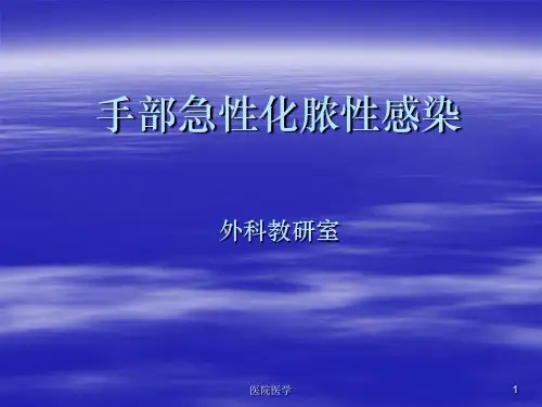 手部感染(格式整齐)