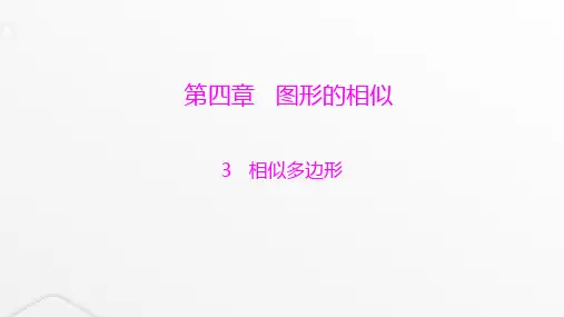 北师大版九年级数学上册第四章图形的相似相似多边形课件