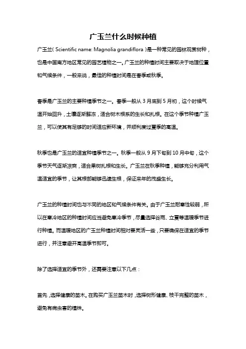 广玉兰什么时候种植