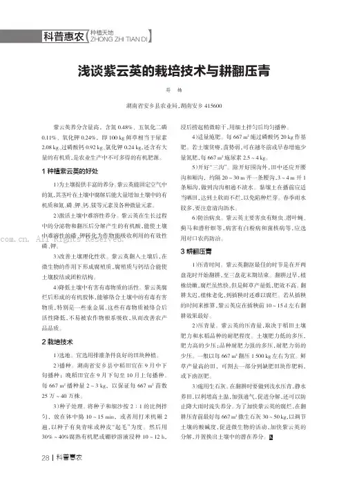 浅谈紫云英的栽培技术与耕翻压青