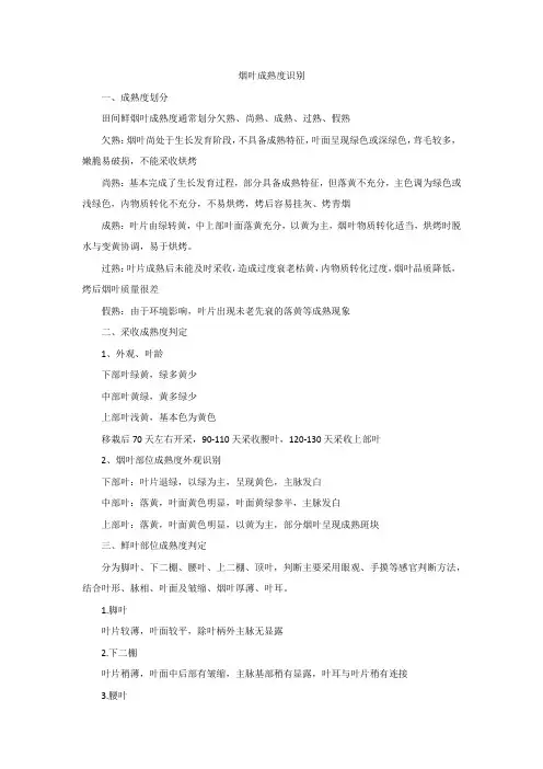 烟叶调制一成熟度