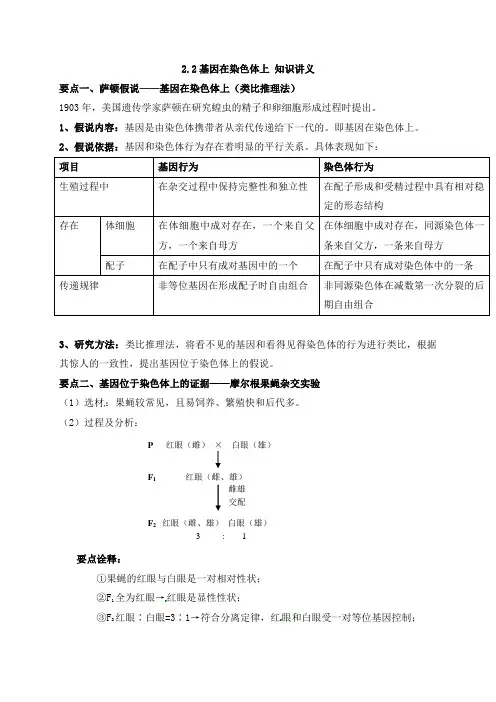 优选教案：高中生物人教版2019必修二第二章第二节基因在染色体上