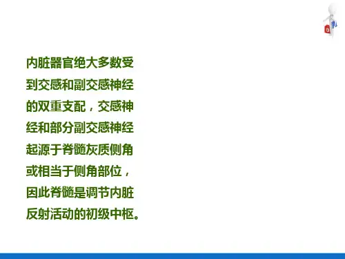 神经系统—内脏活动调节(人体解剖生理学)