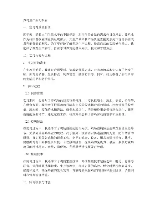 养鸡生产实习报告