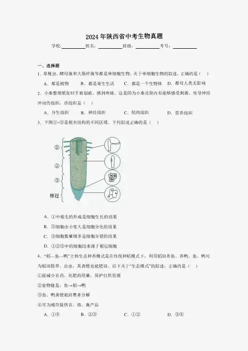 【中考真题】2024年陕西省中考生物试卷(附答案)