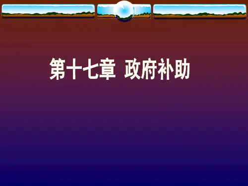 第17章 政府补助分析