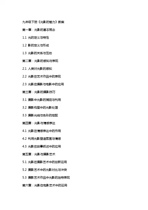 九年级下册《光影的魅力》教案