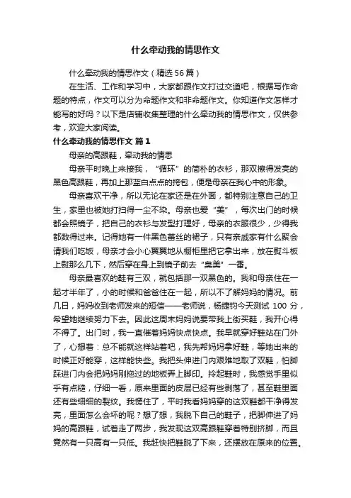 什么牵动我的情思作文