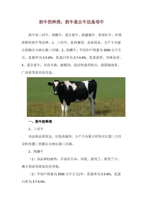 奶牛的种类,奶牛是公牛还是母牛