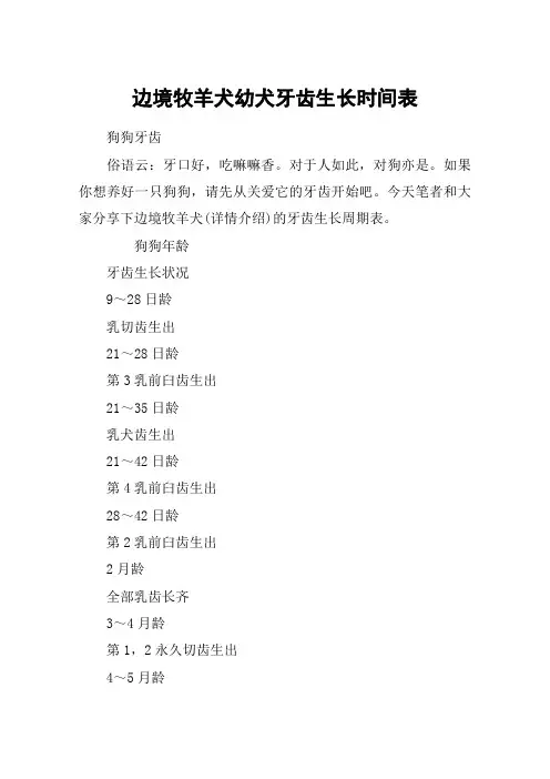 边境牧羊犬幼犬牙齿生长时间表