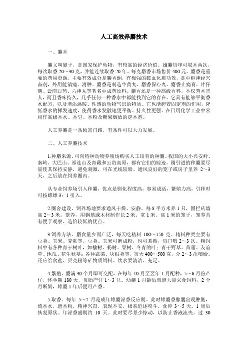 人工高效养麝技术