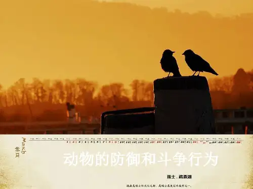 6动物的防御和斗争行为