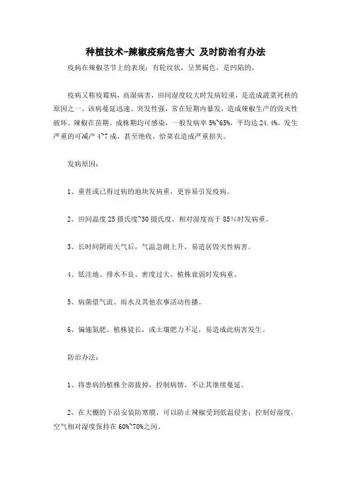种植技术-辣椒疫病危害大 及时防治有办法