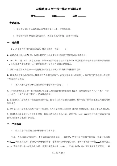 人教版2019版中考一模语文试题A卷