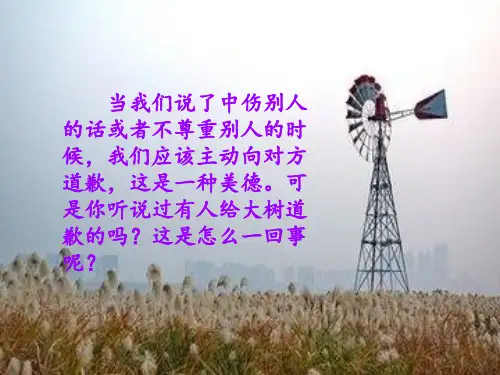 向大树道歉课件
