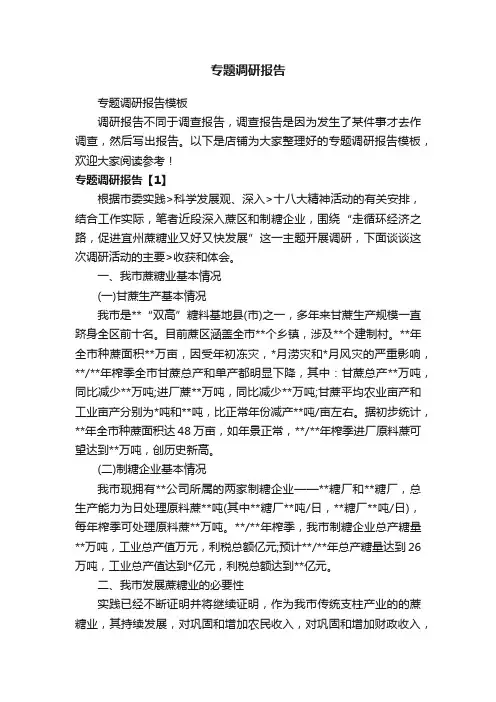 专题调研报告