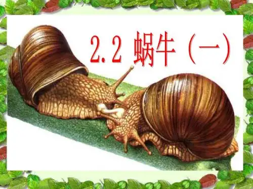 小学科学三年级上册2.2 蜗牛(一)