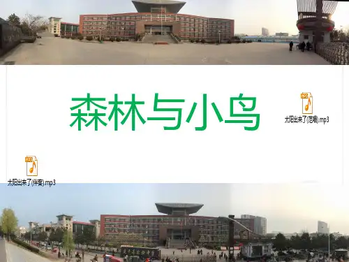 森林与小鸟 音乐课件