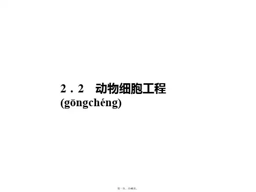 高考生物 第一轮复习 2.2动物细胞工程精品课件 新人教版选修3