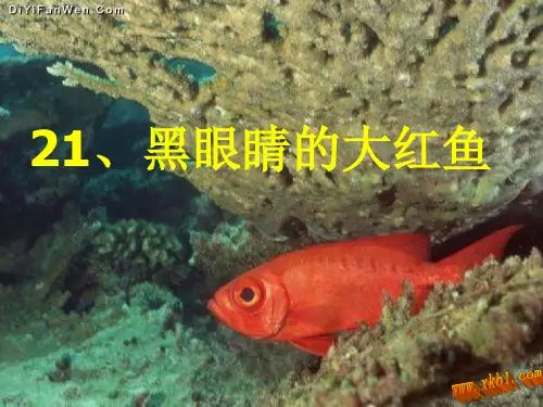 《黑眼睛的大红鱼》PPT课件