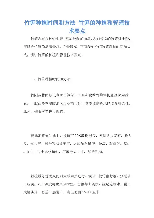 竹笋种植时间和方法 竹笋的种植和管理技术要点