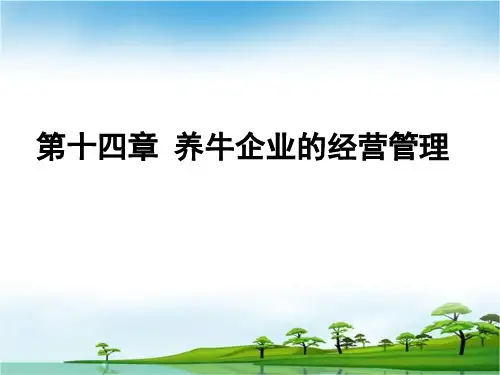 养牛学养牛企业的经营管理牛的健康与疾病预防 ppt课件