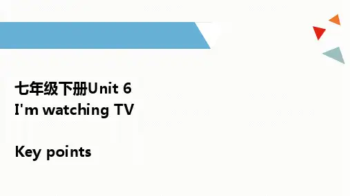 人教版七年级英语下册Unit 6 I’m watching TV 知识点总结课件(26张)