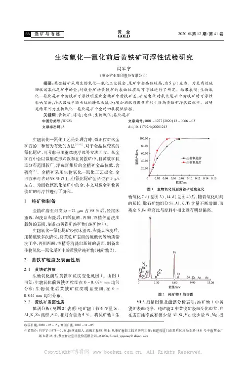 生物氧化——氰化前后黄铁矿可浮性实验研究