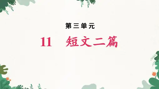 第11课《短文二篇》课件(共40张PPT)2023—2024学年统编版语文八年级上册