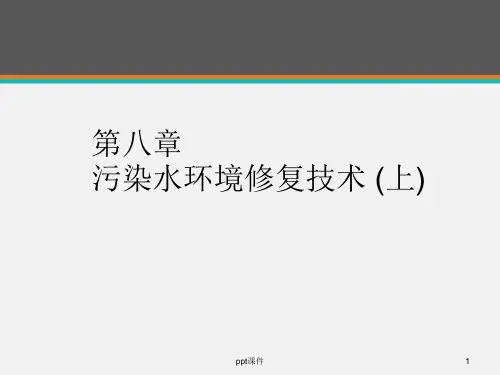 《环境修复原理与技术》污染水环境修复技术  ppt课件