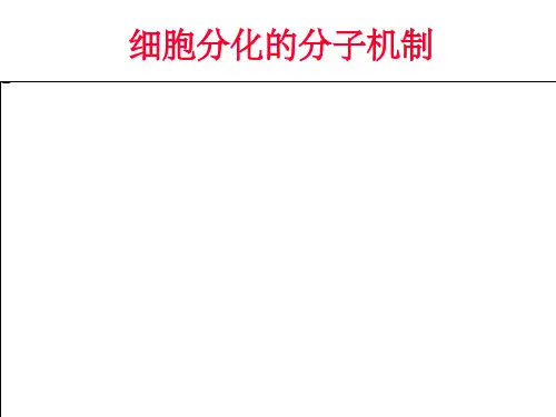 发育生物学——细胞分化的分子机制