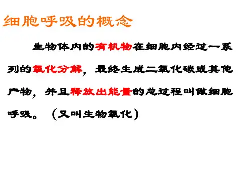 生物体内的有机物在细胞内经过一系列的氧化分解