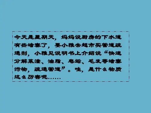 沪教化学下册第7章基础实验8  酸、碱的化学性质(共24张PPT)