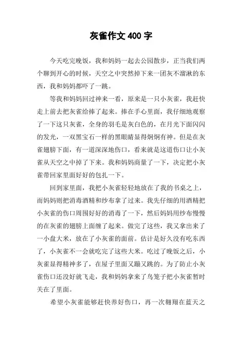 灰雀作文400字
