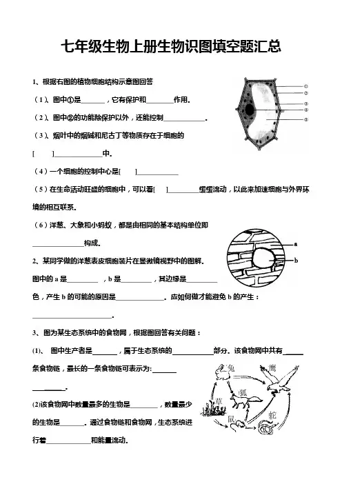 七年级生物上册生物识图填空题汇总