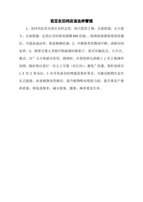 芸豆在田间应该这样管理
