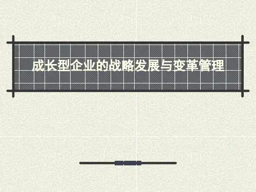 成长型企业的战略发展与变革管理精品PPT课件