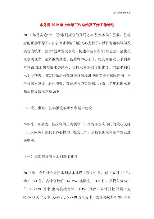 水务局2019年上半年工作总结及下步工作计划